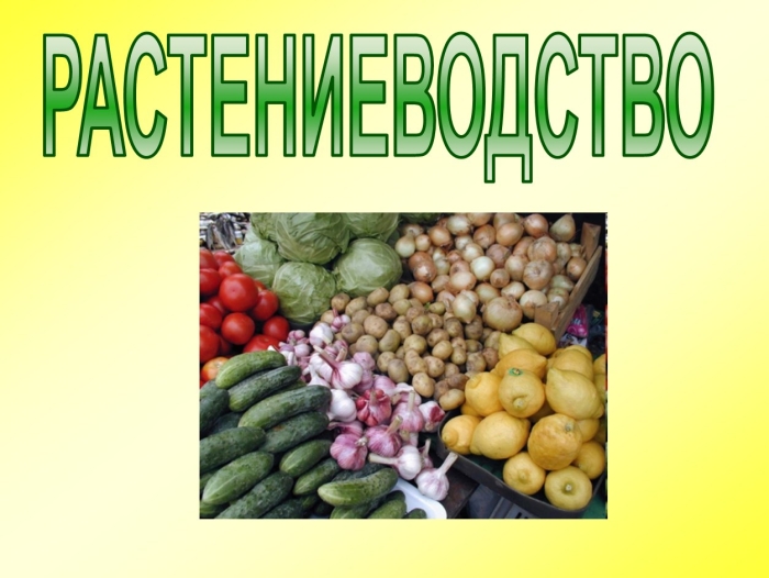 Растениеводство окружающий мир 3 класс