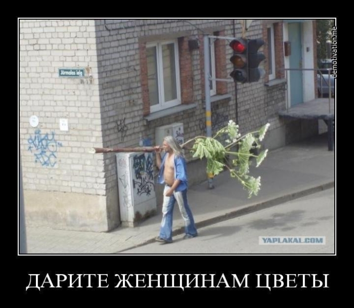 Нарву цветов и подарю букет той девушке которую люблю