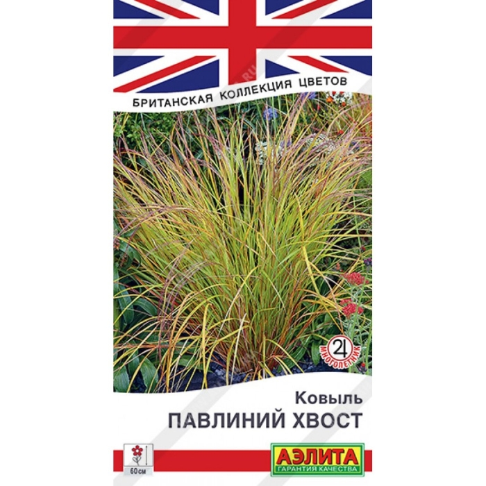 Ковыль павлиний хвост