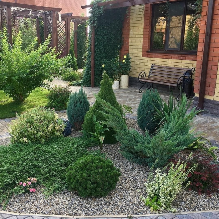 Хвойная композиция в ландшафтном дизайне