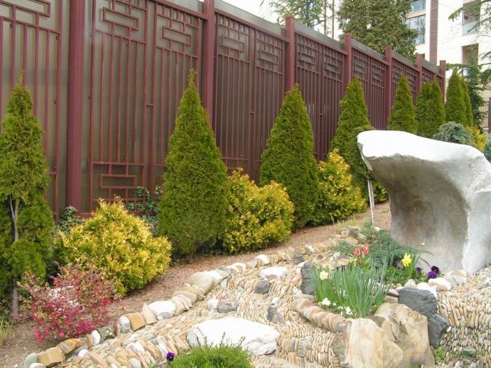 Туя западная смарагд