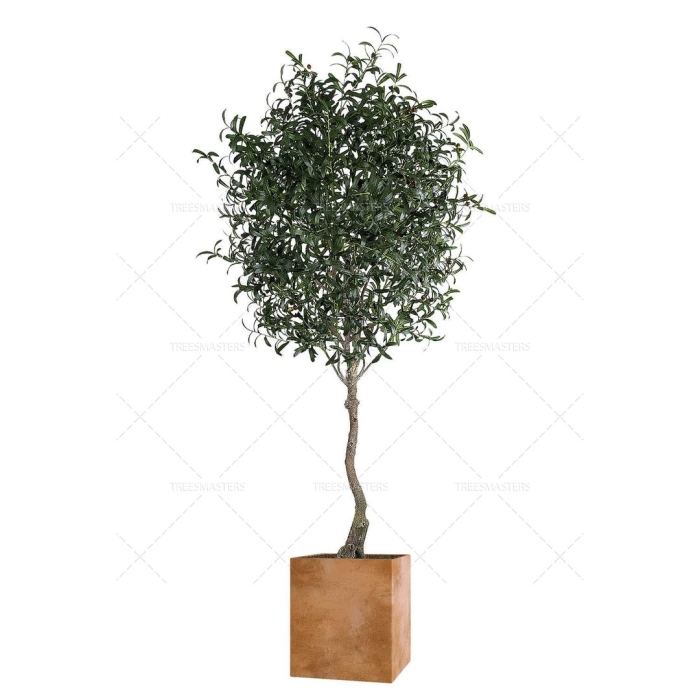 Искусственное дерево олива