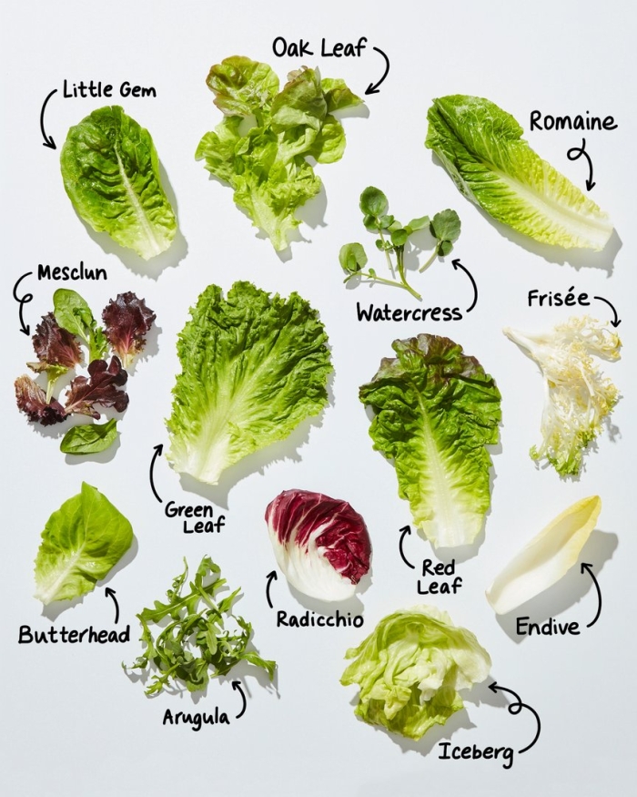 Romaine lettuce