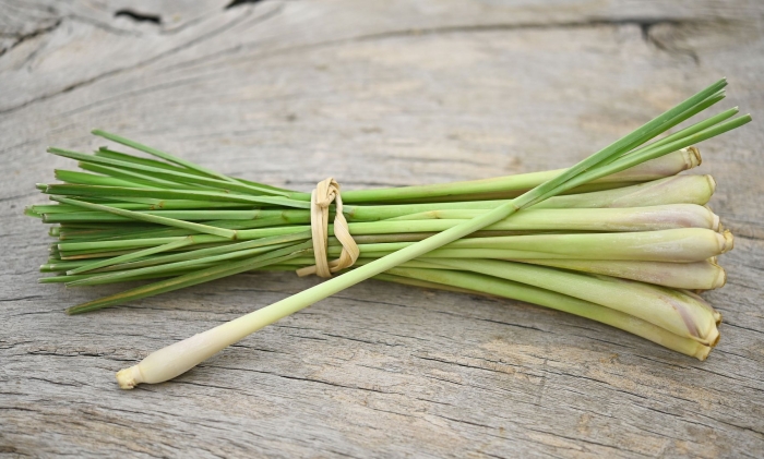 Лемонграсс лимонная трава