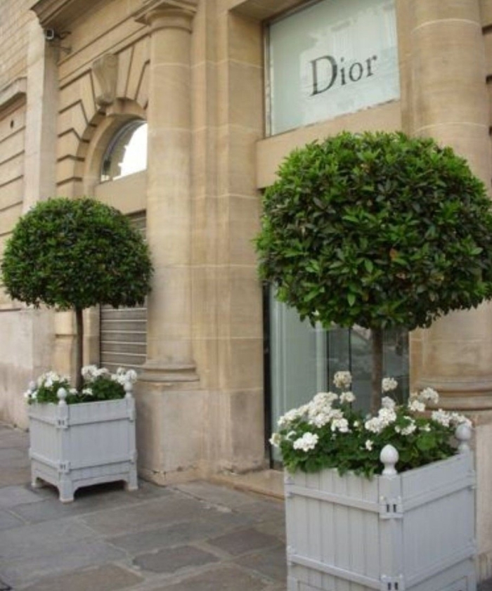 Топиар экстерьер