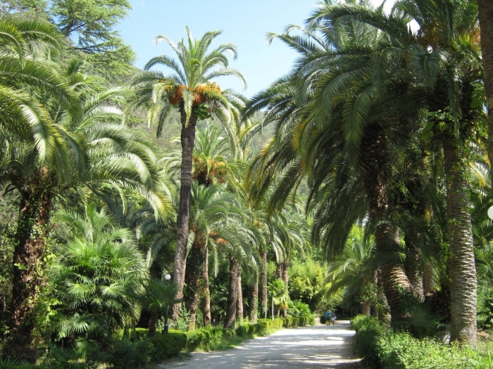 Приморский парк гагра