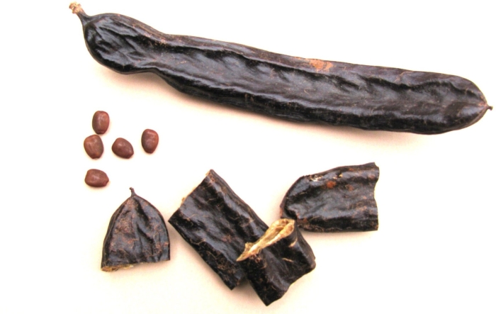 Рожковое дерево цареградский стручок