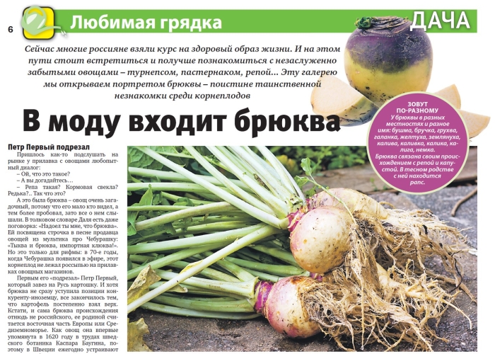 Брюква корнеплоды