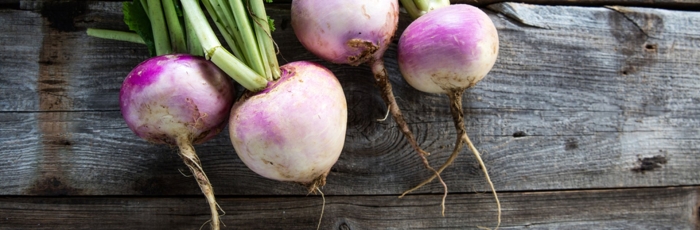 Турнепс кормовой