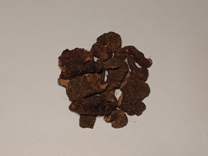 Калган лапчатка прямостоячая корень