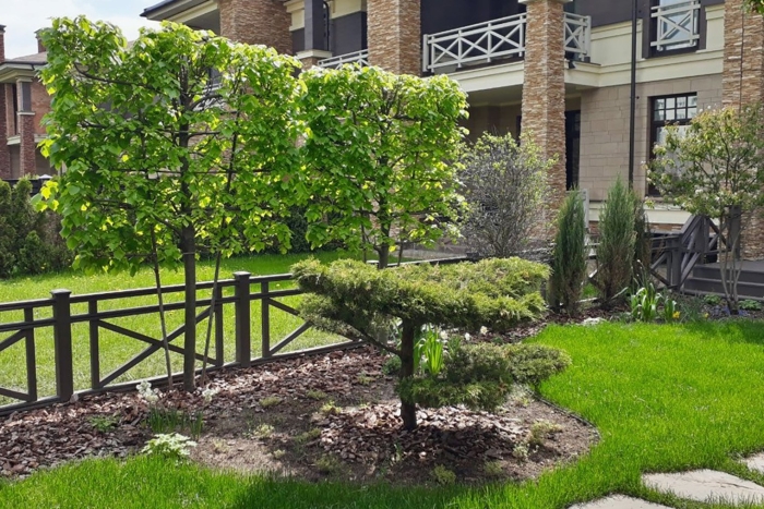 Живая изгородь в ландшафтном дизайне