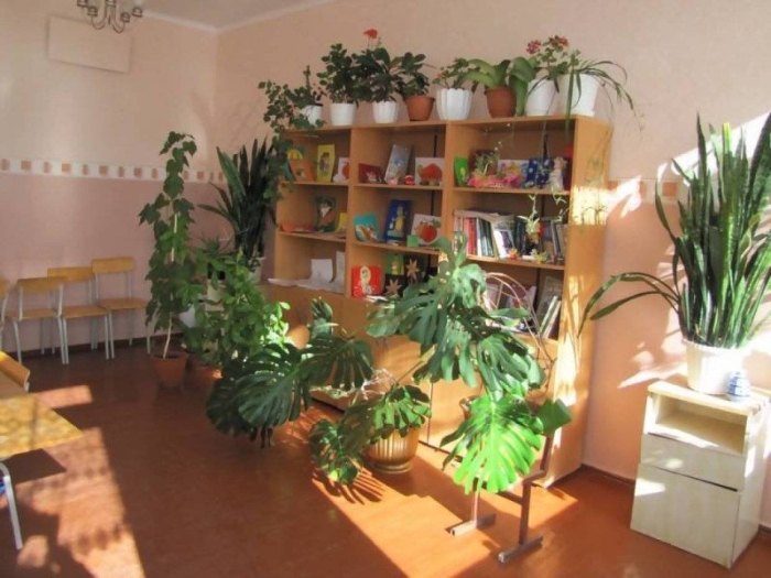 Зеленый уголок в школе