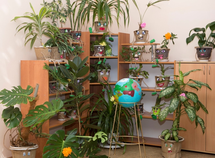 Зеленый уголок в начальной школе