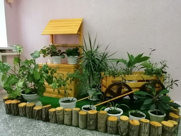 Живой уголок в детском саду