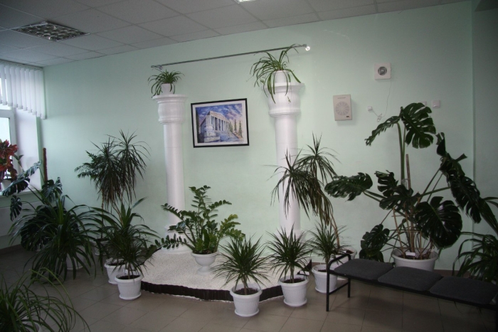 Озеленение школьных коридоров