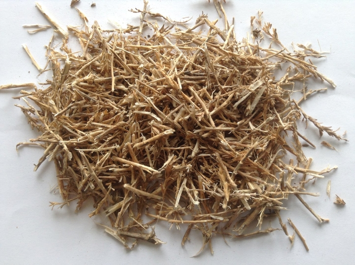 Солянка холмовая перекати поле