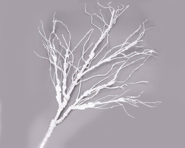 Белые ветки