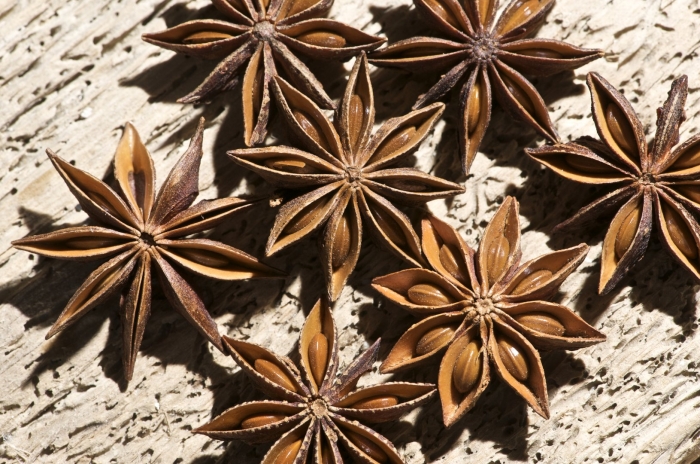 Бадьян звездчатый растение