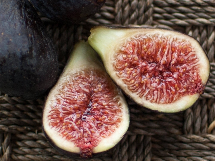 Инжир гирканский