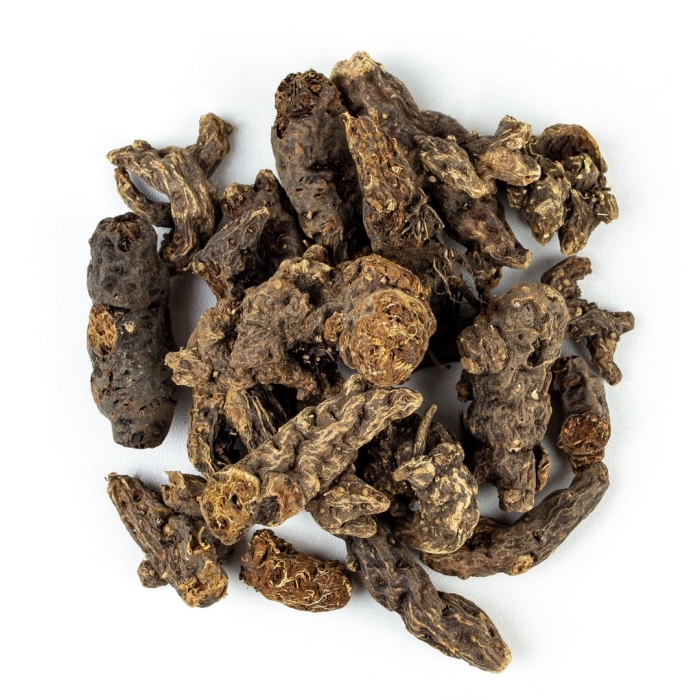 Калган лапчатка прямостоячая корень