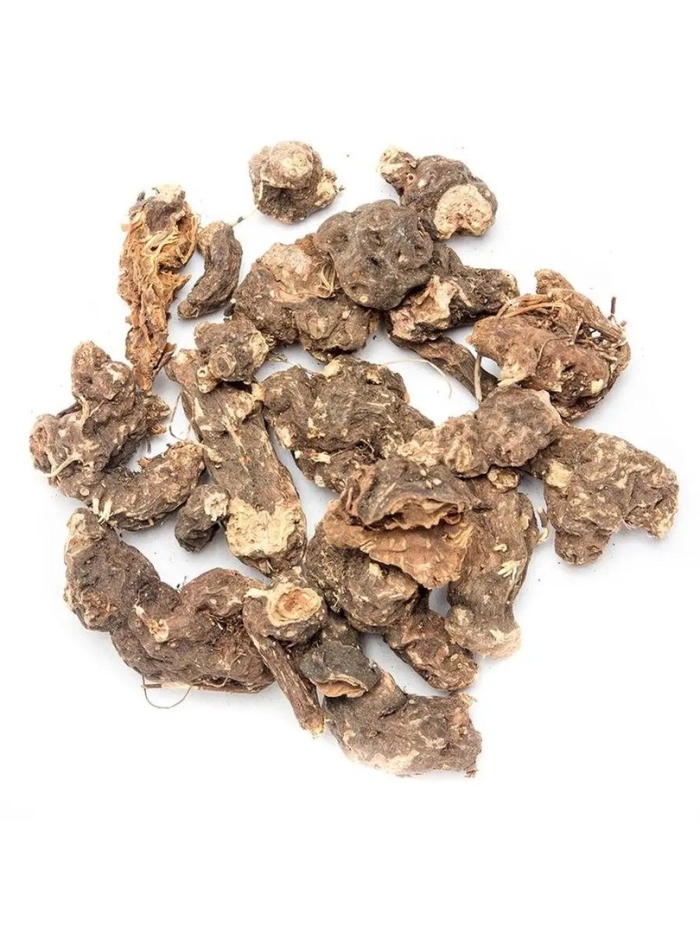 Калган лапчатка прямостоячая корень