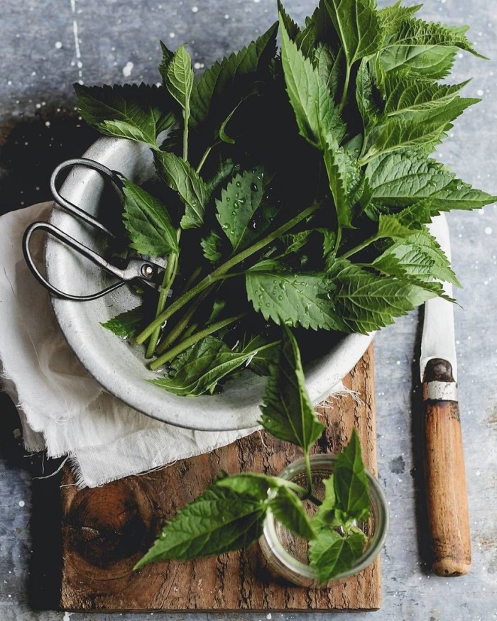 Крапива двудомная