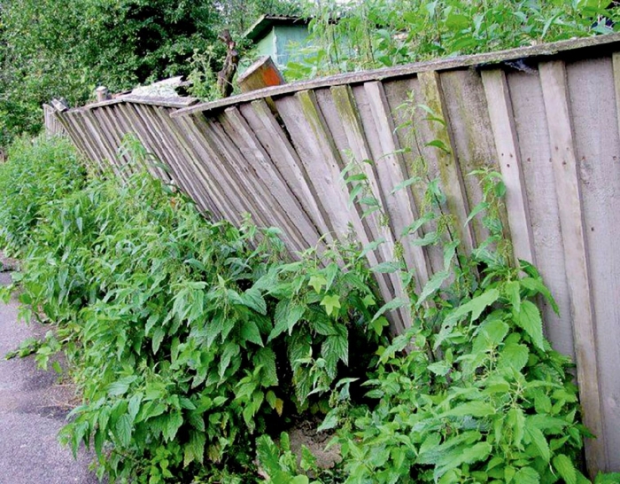 Старый деревянный забор