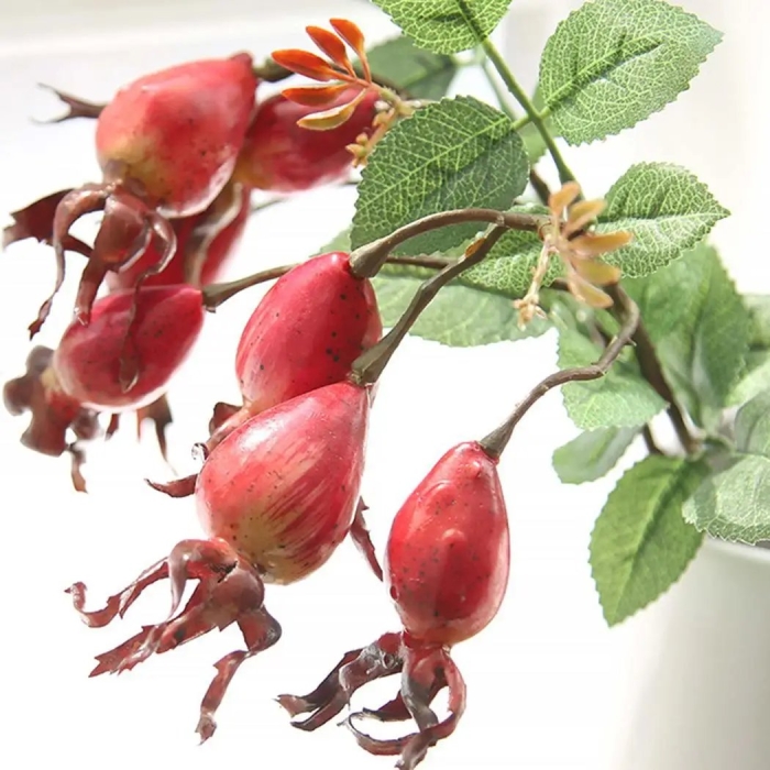 Декоративный гранат