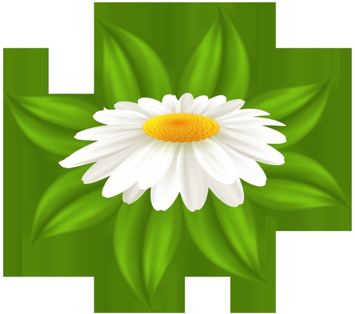 Мультяшная ромашка