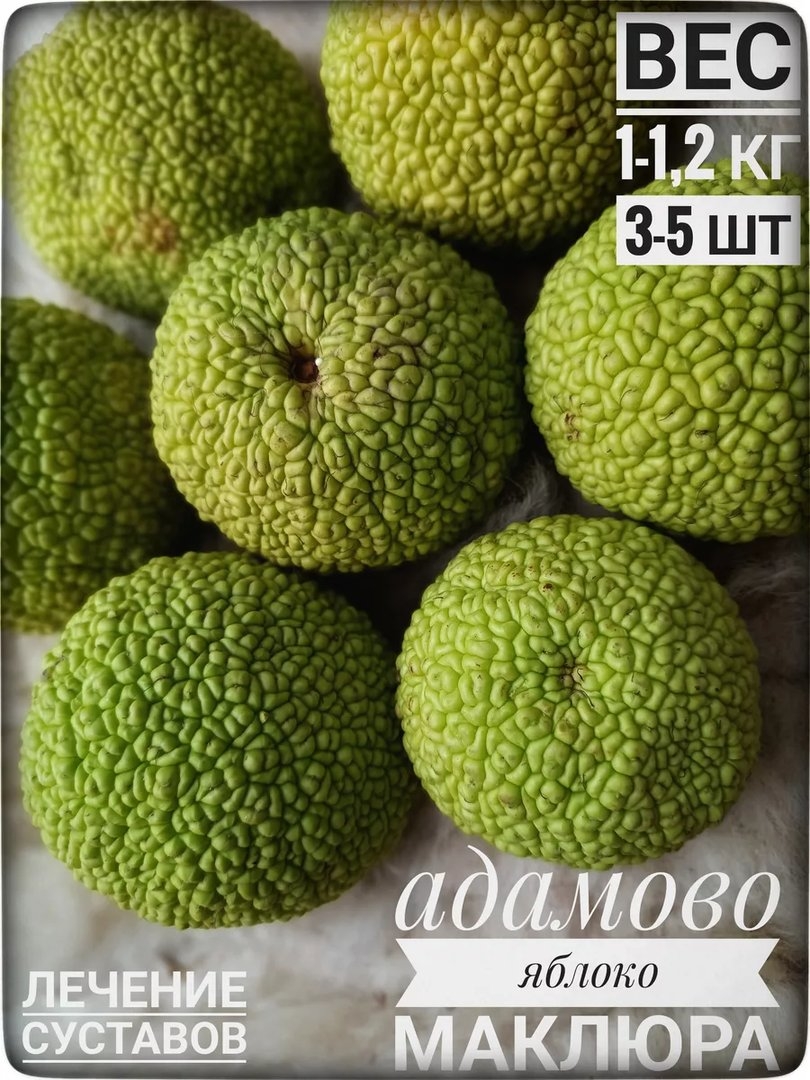 Настойка адамова яблока на спирту