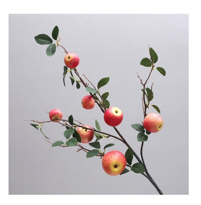 Apple tree branch