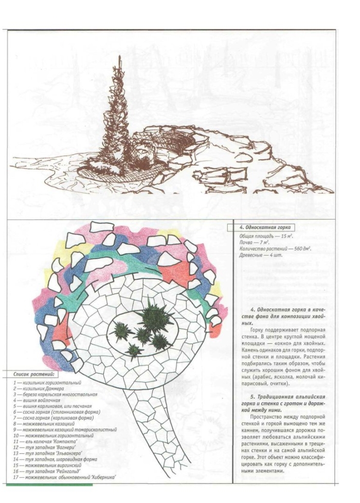 Дендрологический план композиции