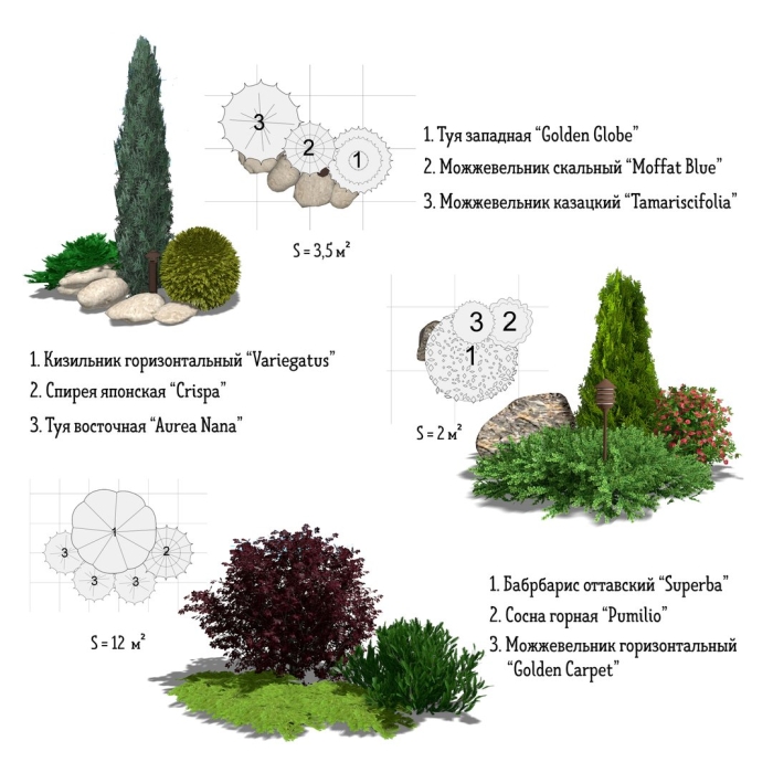 Миксбордер с хвойными и кустарниками схемы описание