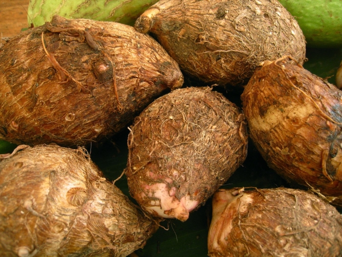 Корень ямса