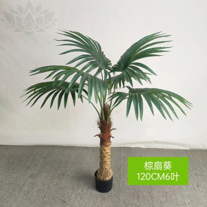 Ходячая пальма