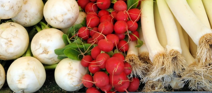 Белая редиска
