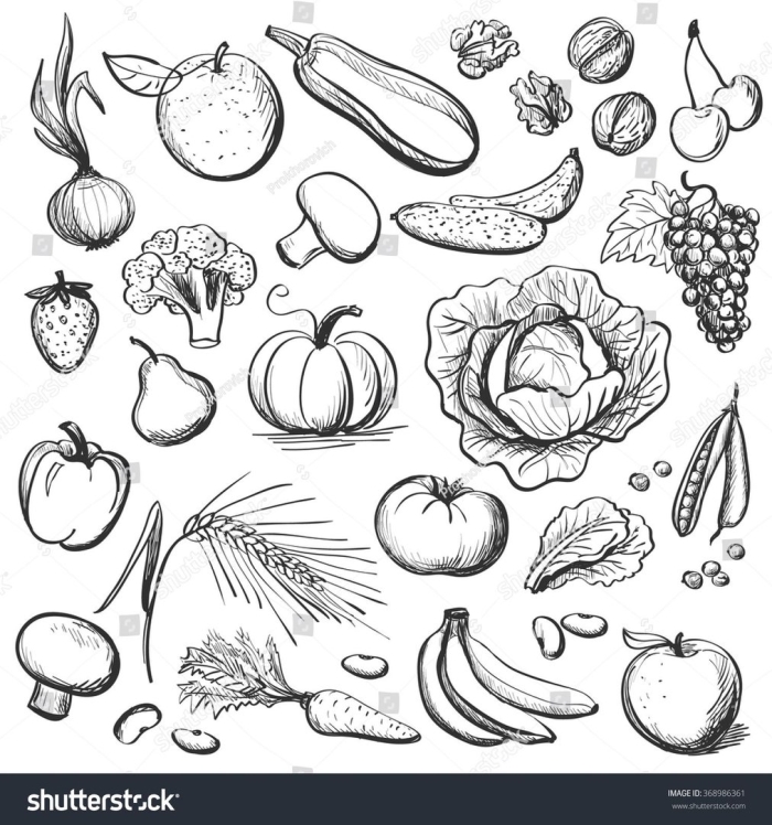 Фрукты и овощи рисунки