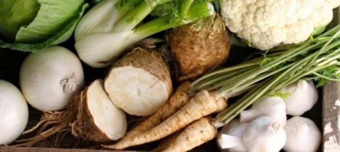 Сельдерей корневой