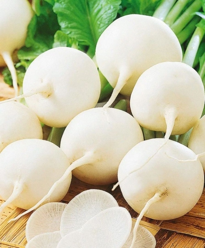 Редька майская белая