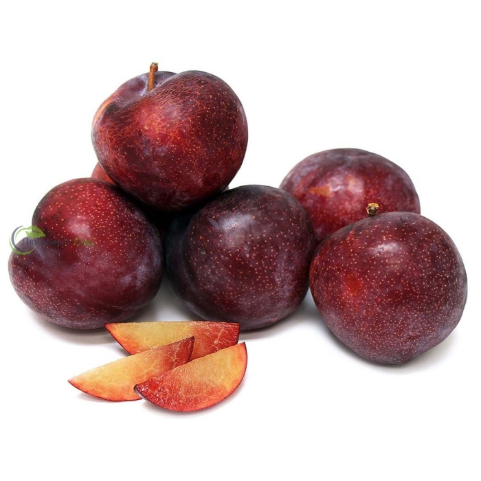 Шарафуга слива