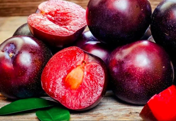 Шарафуга вельвет санрайз