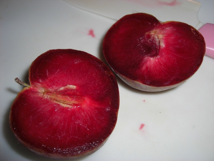 Шарафуга вельвет