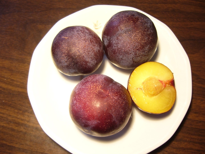 Слива плумкот триумф