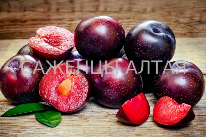 Шарафуга вельвет