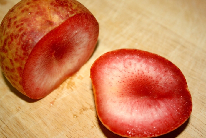 Гибрид плумкот