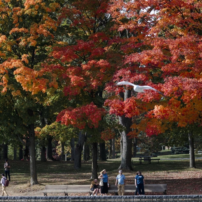 Осень в канаде