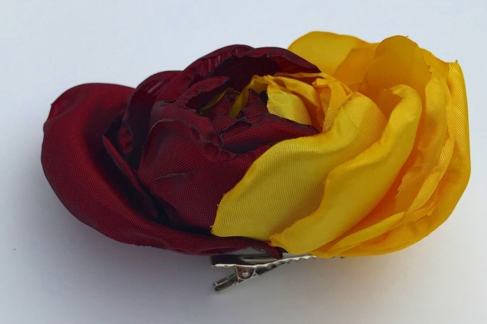 Двухцветная роза