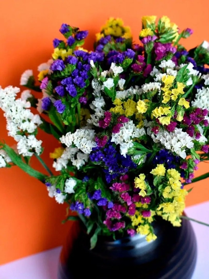 Цветы лимониум статице