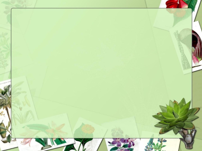 Фон для презентации про растения