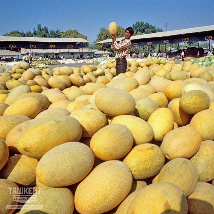 Алайский рынок узбекистан ташкент